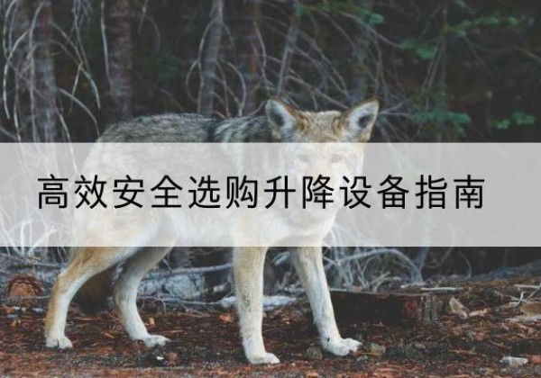 济阳升降货梯厂家推荐-*安全选购升降设备指南