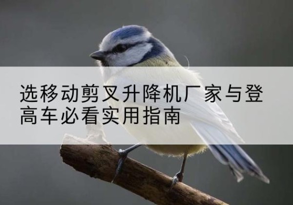 济阳电动升降机厂家-选移动剪叉升降机厂家与登高车必看实用指南