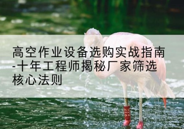 济阳剪叉式升降机厂家-高空作业设备选购实战指南-十年工程师揭秘厂家筛选核心法则